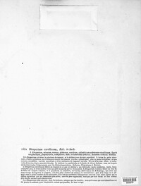 Marchandiomyces corallinus image